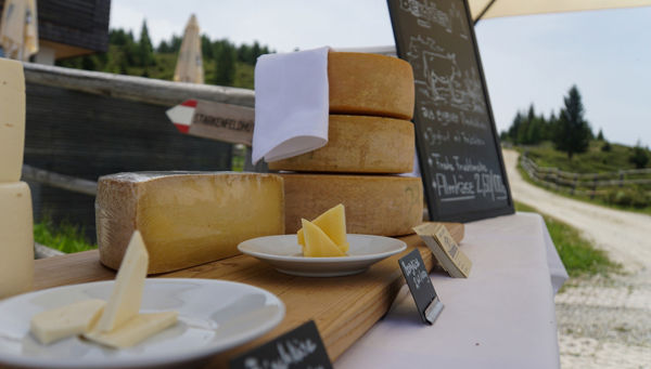 Alpine cheese at the Starkenfeld hut
