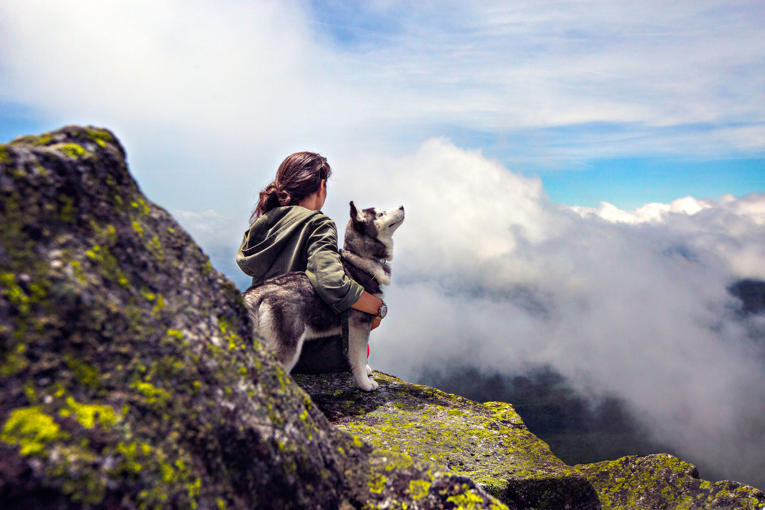 Woman sitting with her dog on a stone on a mountain.