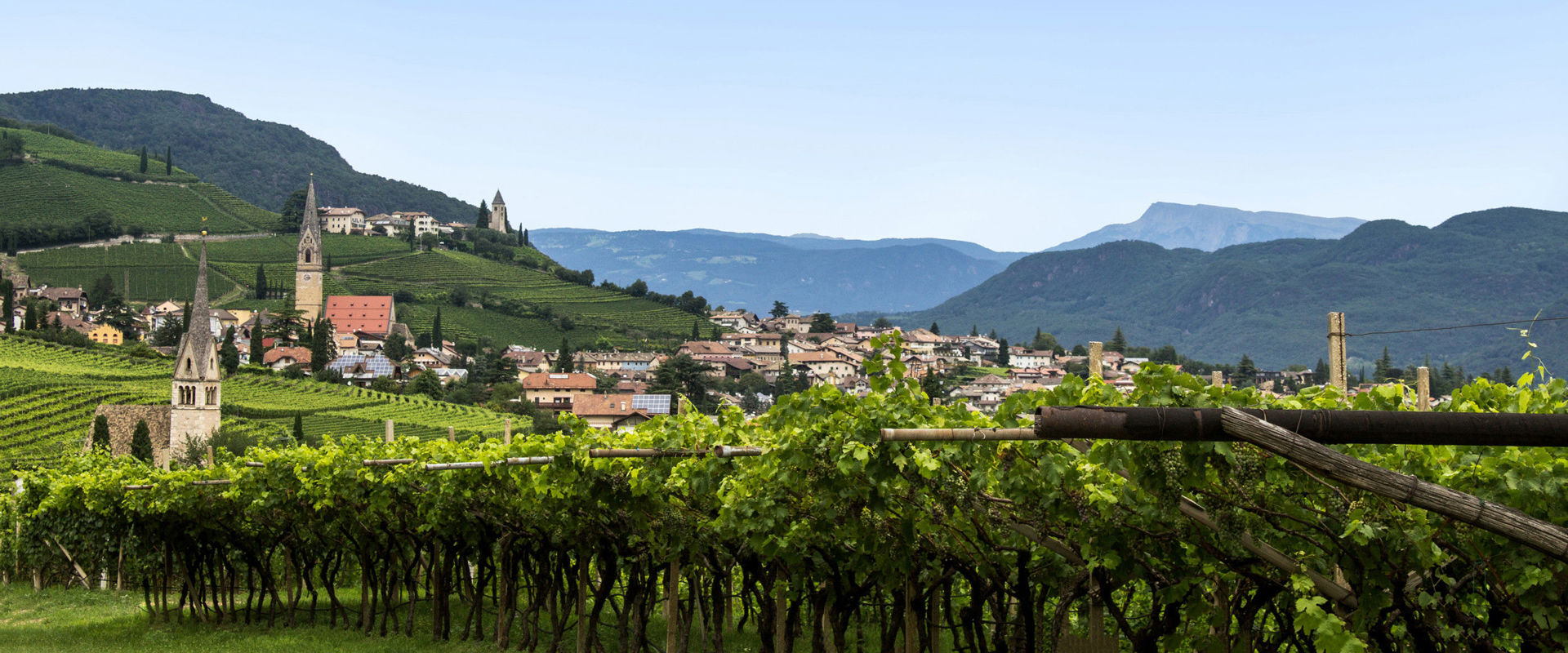 Wine village Tramin View of the wine village Tramin surrounded by lush green vineyards.