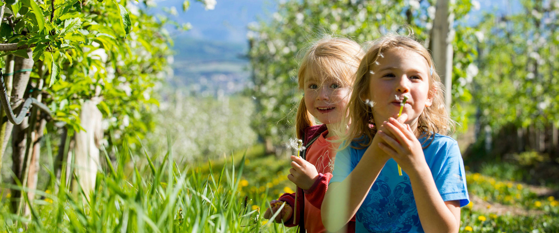 Happy children playing in an apple orchard Children make soap bubbles in an apple orchard.
