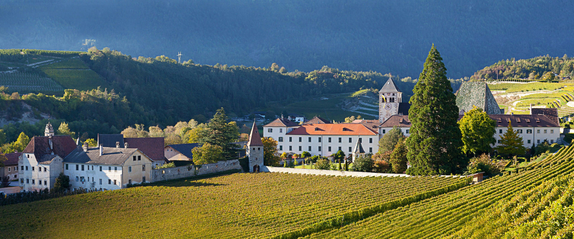Neustift Monastery View of Neustift Monastery surrounded by golden vineyards.