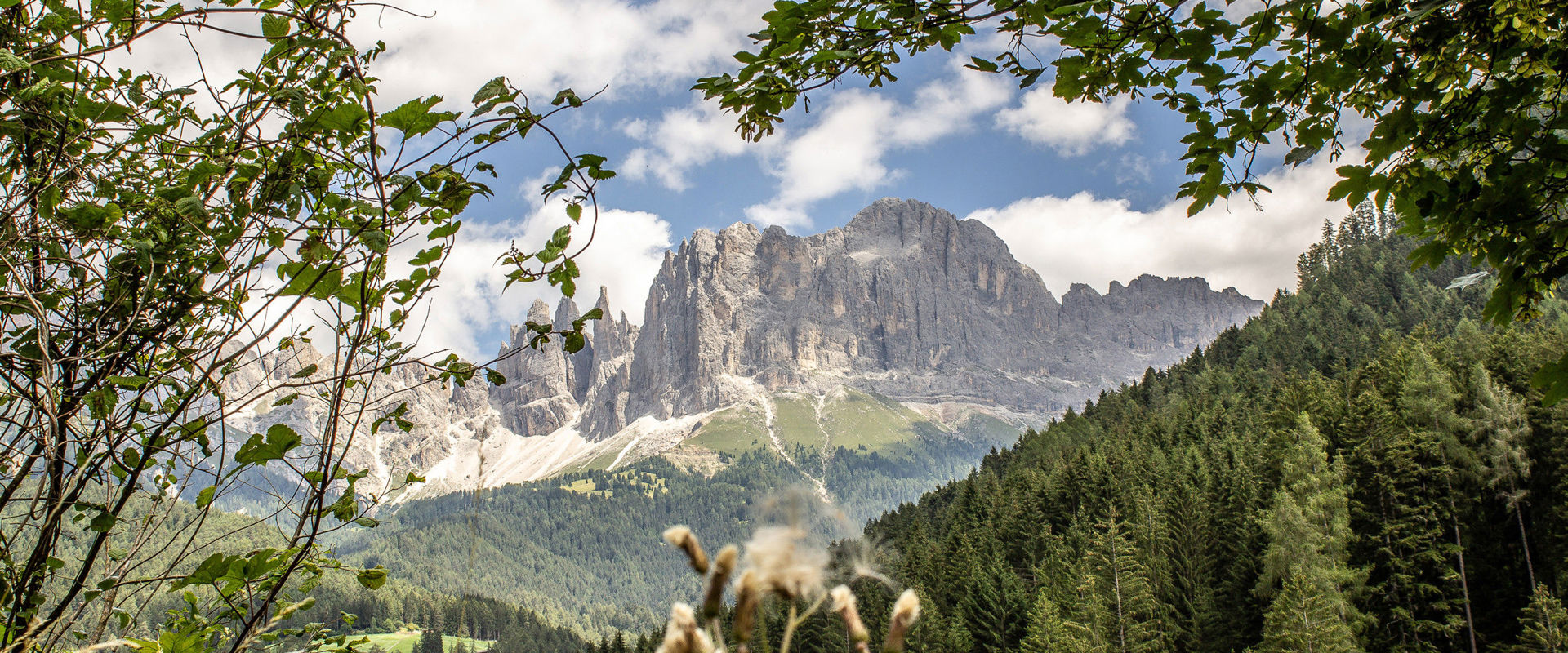 View of the mountains along the high-altitude trail.