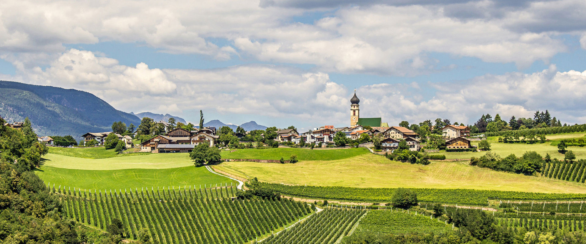 Völs am Schlern surrounded by vineyards and pastures.