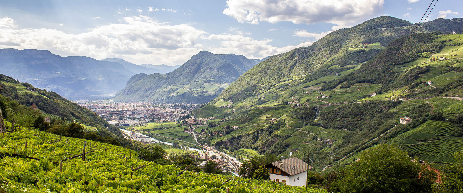 Green hillsides, vineyards and the city of Bozen