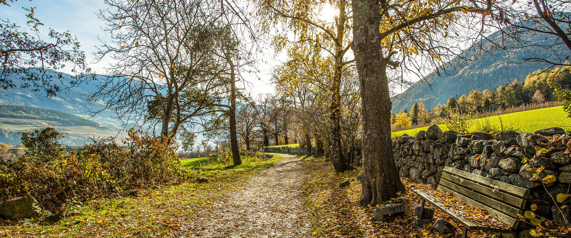 Vahrn Walking path with trees around near Vahrn in Eisacktal Valley