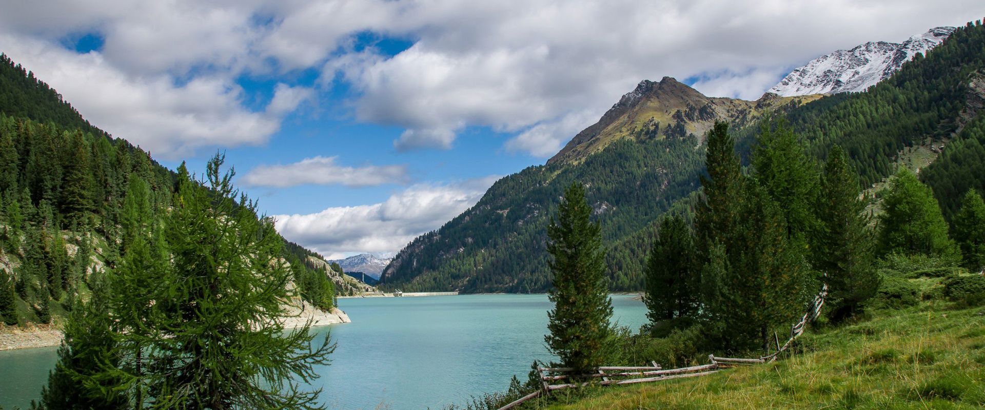 Reservoir surrounded by lush meadows and dense forests.