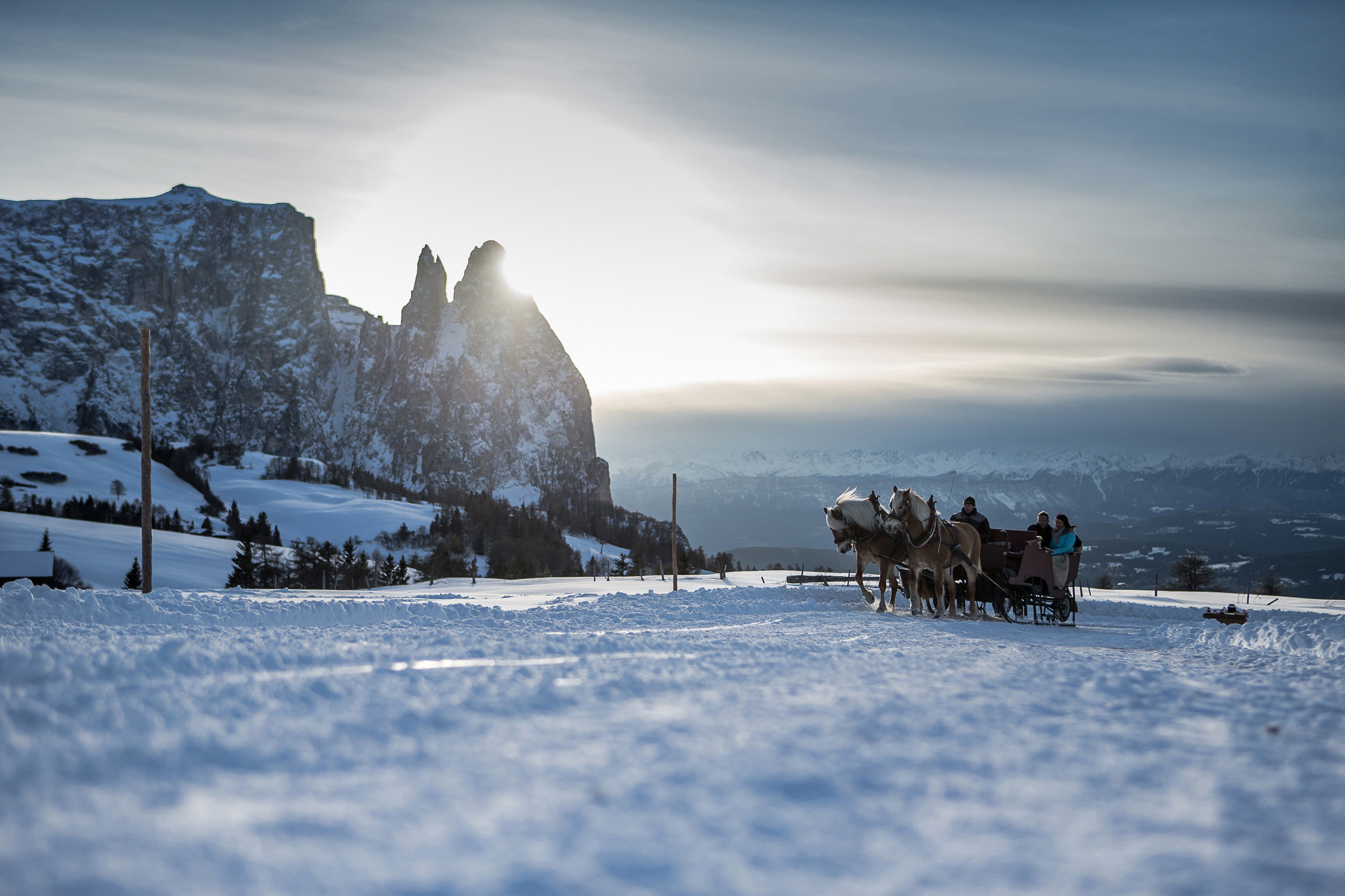 Horse-drawn sleigh rides in South Tyrol