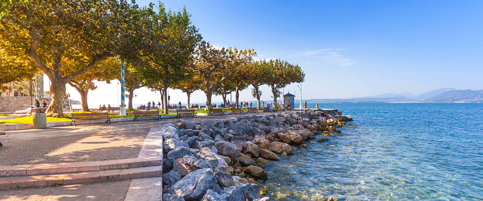 Paved walkway with an avenue of deciduous trees along the lakeshore.
