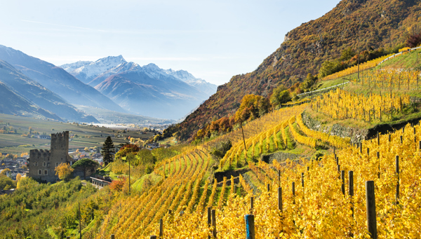 Autumn pleasure highlights in Naturns
