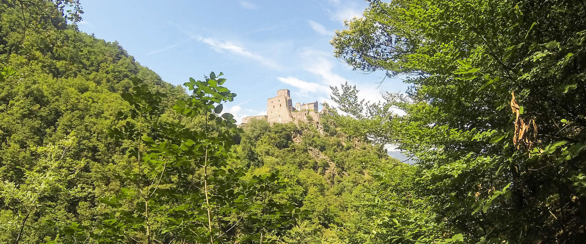 Photo of cc seen from below.