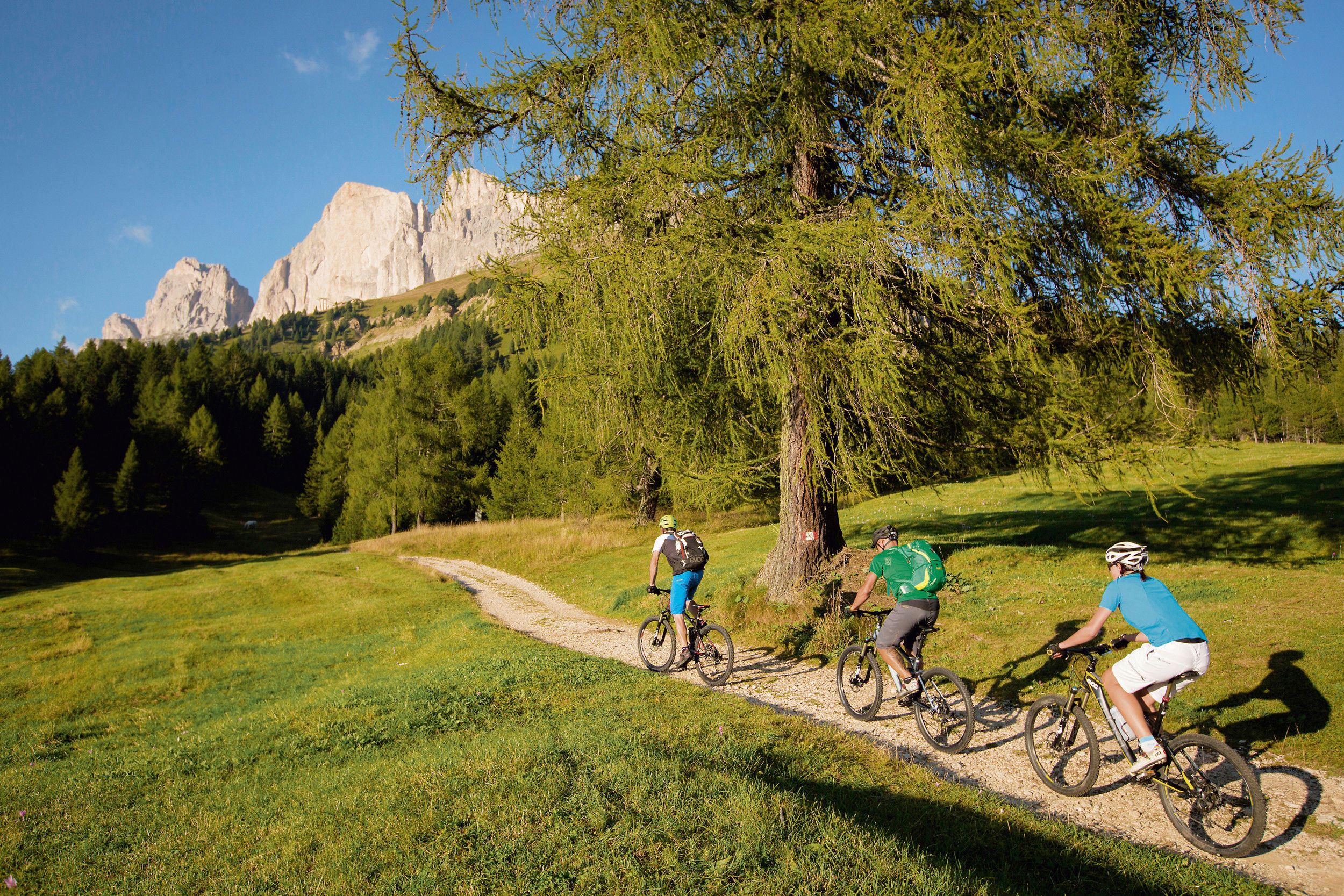 Three cyclists ride along a small path.