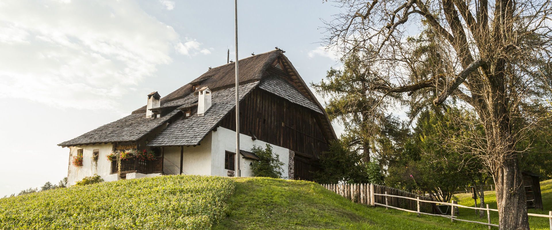 Beekeeping Museum in Wolfsgruben Old farm building with South Tyrolean flag on a green hill.