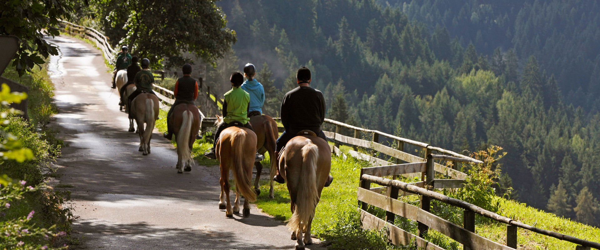 Horse riding in Meran Horse riding on a quiet path through the forests of Meran.