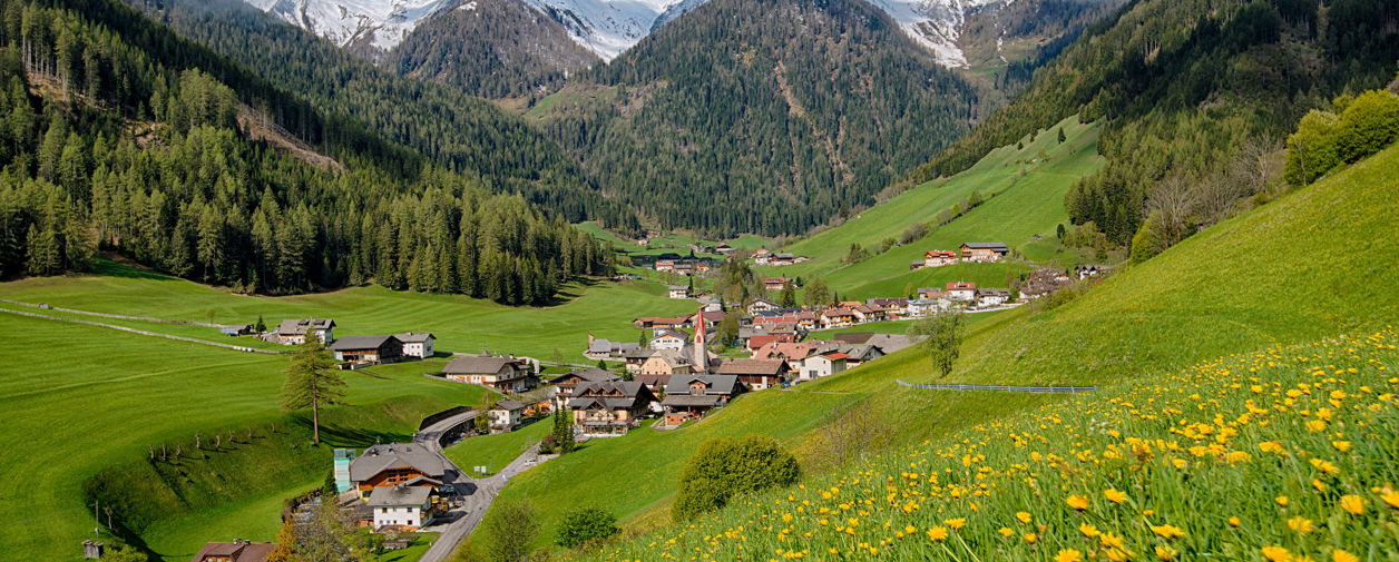 in Weißenbach