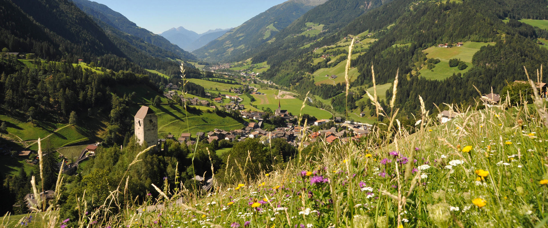 Mountain landscape Mountain landscape with colourful flower meadows and green forests.
