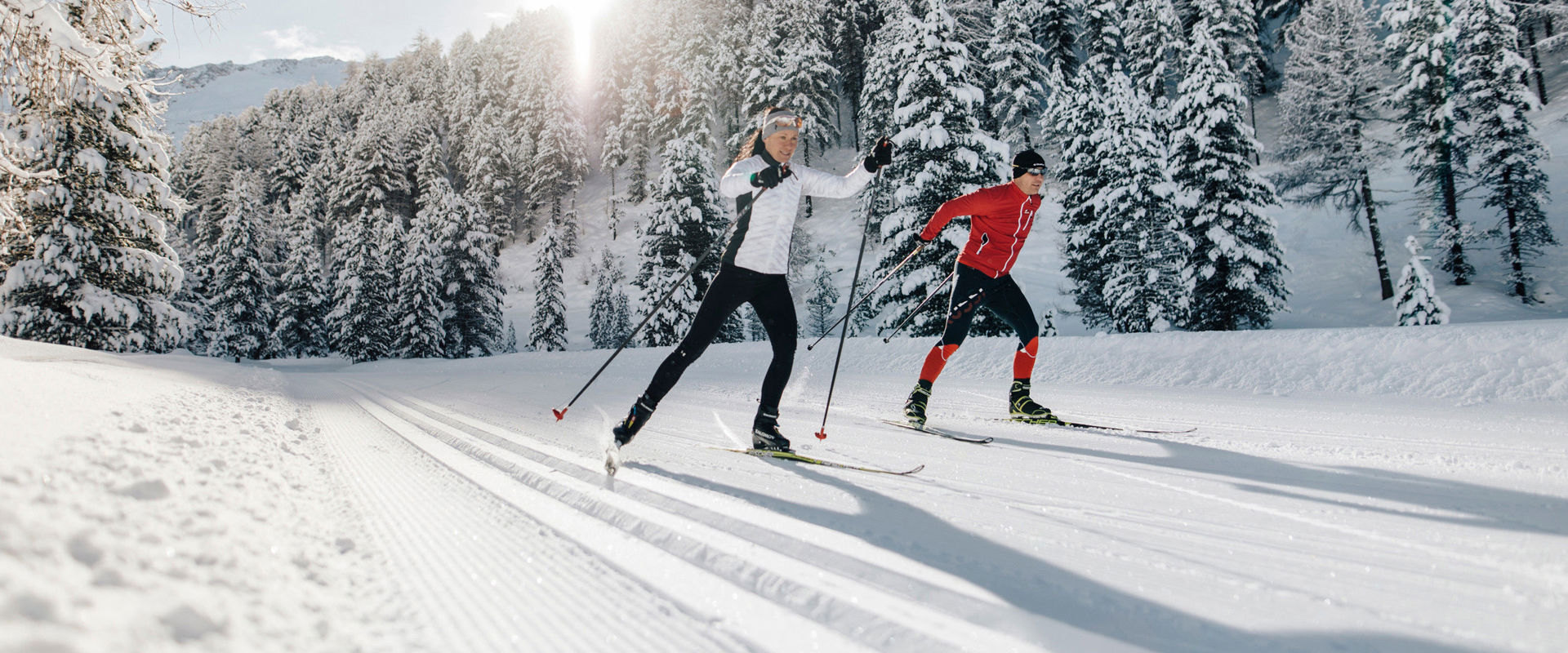 Cross-country skiers 2 cross-country skiers in the winter snowy landscape.