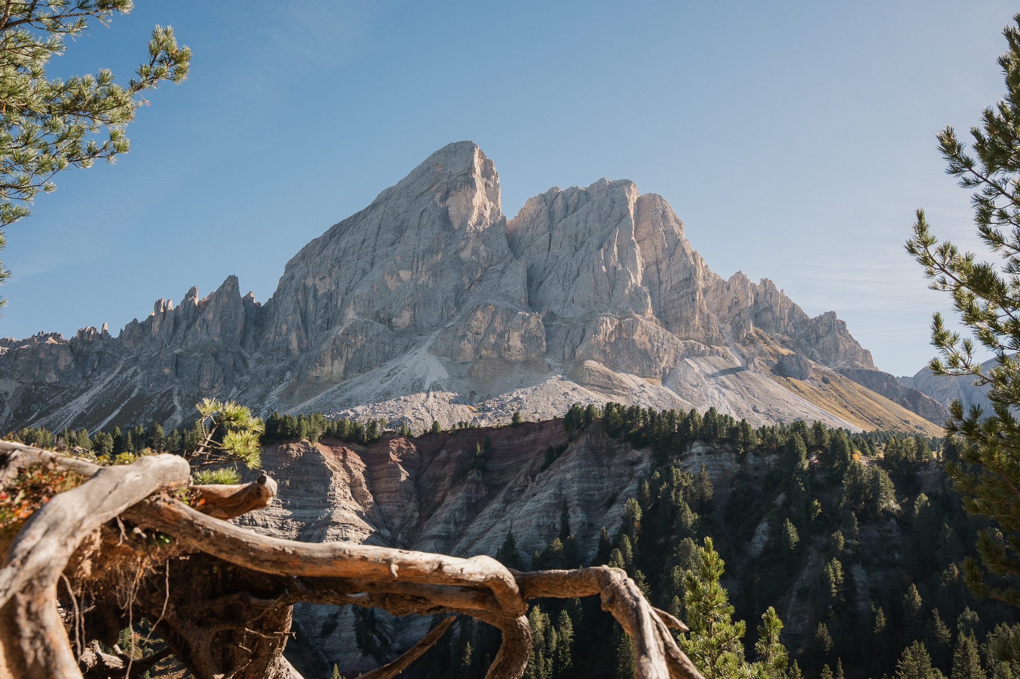 Isolated mountain peak, layers of earth, and trees with root formations