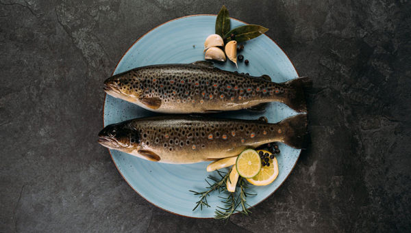 Fish specialties from Passeirtal and Pustertal Valleys