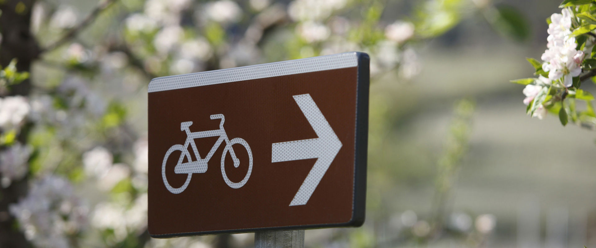 Wooden sign with bicycle symbol.