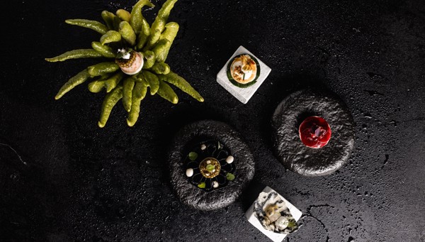 The newcomers among the Michelin-starred restaurants in South Tyrol