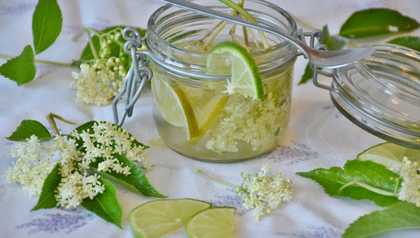 Elderflower syrup
