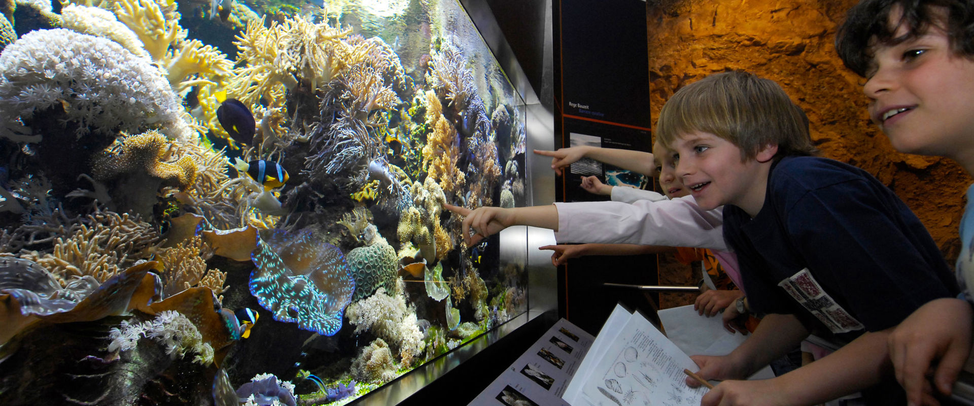 Children marvel at the colourful aquarium in the Nature Museum.