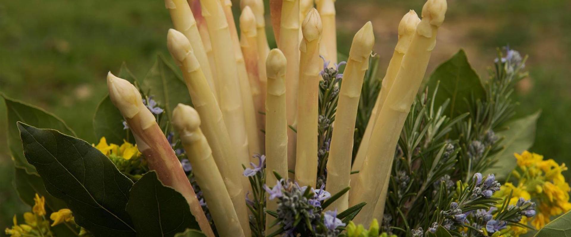 A bouquet of white asparagus surrounded by beautiful lilac and yellow flowers